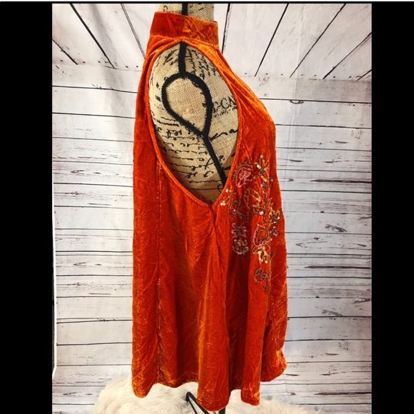 Gorgeous Free People “Jill” Orange velvet Embellished Dress - Picture 4 of 6